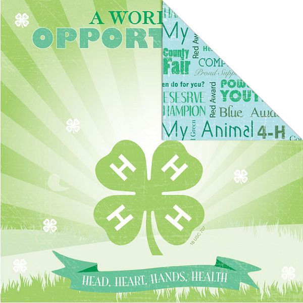 4-H Paper - Opportunity