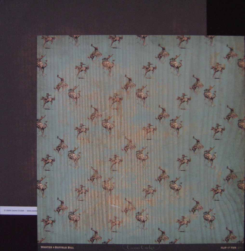 Wanted: Buffalo Bill Paper