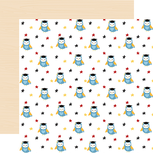 School Rules: Owls DS Paper