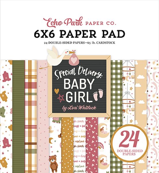 Special Delivery Baby Girl: Special Delivery Baby Girl 6x6 Paper Pad
