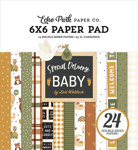 Special Delivery Baby: Special Delivery Baby 6x6 Paper Pad