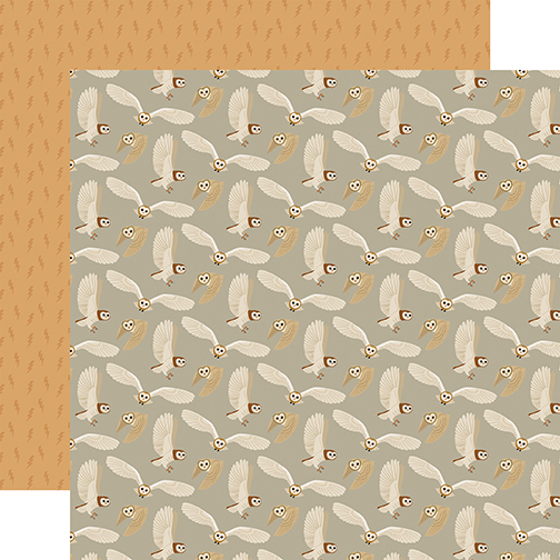 Witches & Wizards: Owls DS Paper