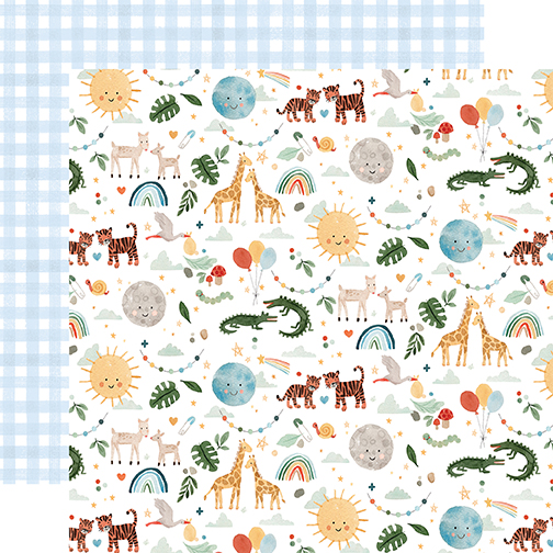 Welcome Baby Boy: Animals DS Paper