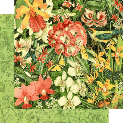 Lost in Paradise: Resplendent Plumage Paper