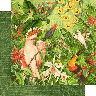 Lost in Paradise: Welcome to the Jungle Paper