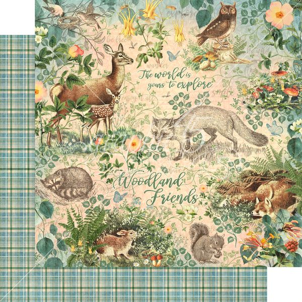 Woodland Friends DS Paper