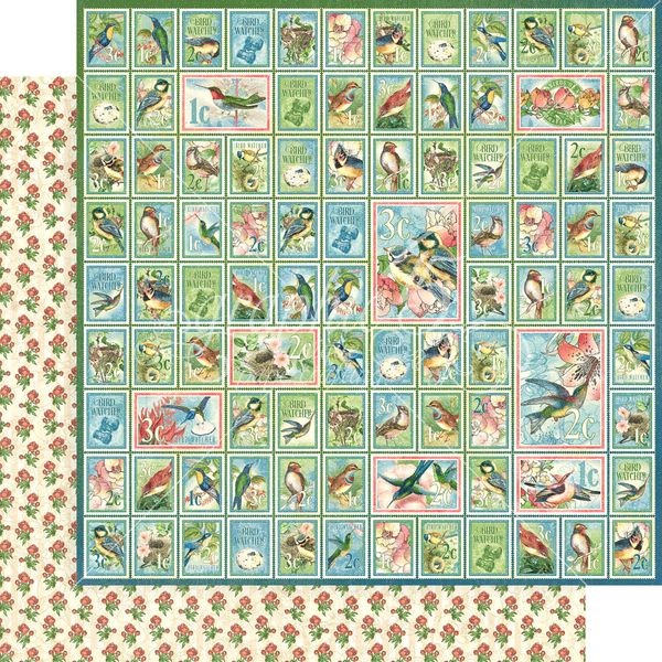 Bird Watcher: Best of Friends DS Paper