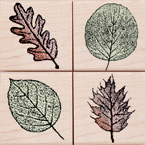 Quatros: Small Leaf Impressions Wood Stamp