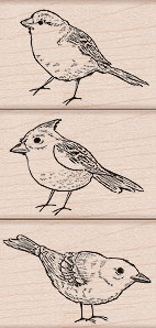 Ai: Bird Trio Wood Stamp Set