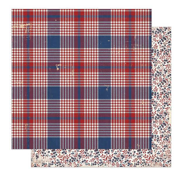 America the Beautiful: Barbecue DS Paper