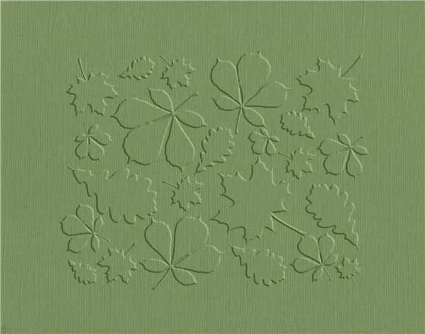 Quickutz A2 Embossing Folder - Leaves