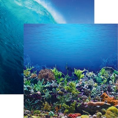 All Inclusive Vacation - Underwater Scrapbook Paper