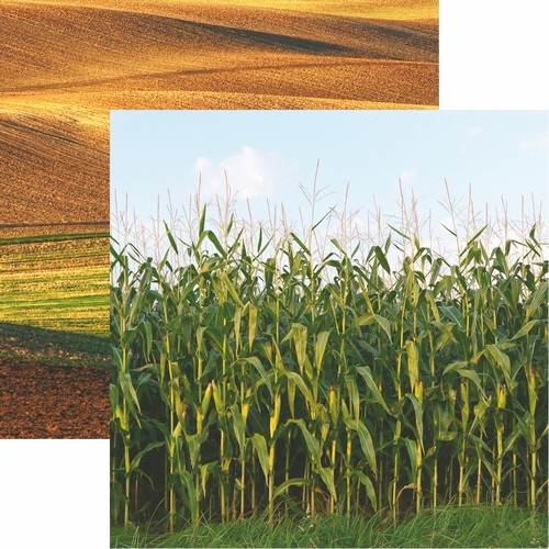 At the Farm: Field of Dreams Scrapbook Paper