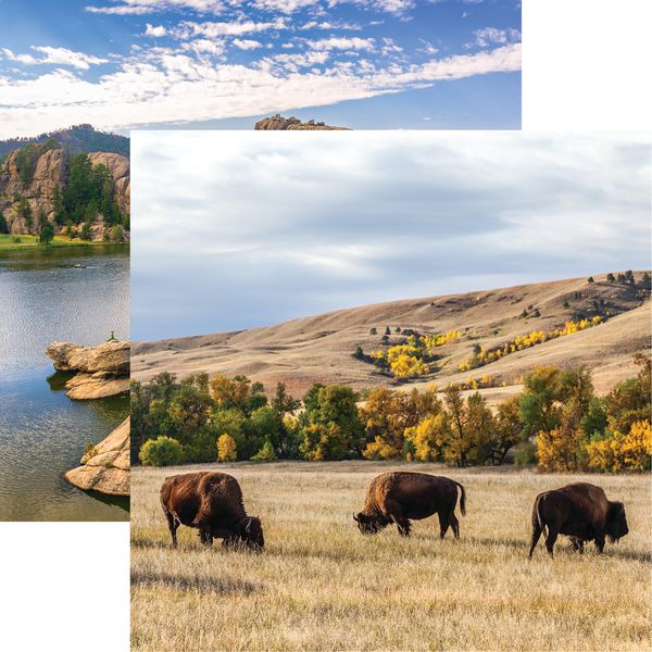 Black Hills: Custer State Park DS Paper