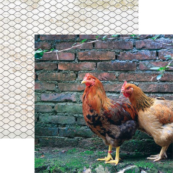 Chicken Life: Pecking Order DS Paper