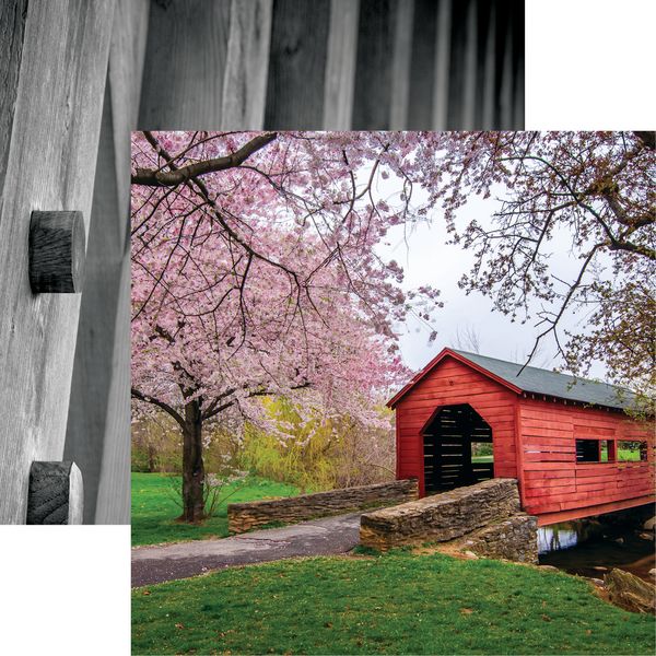 Covered Bridges: Cherry Blossoms DS Paper