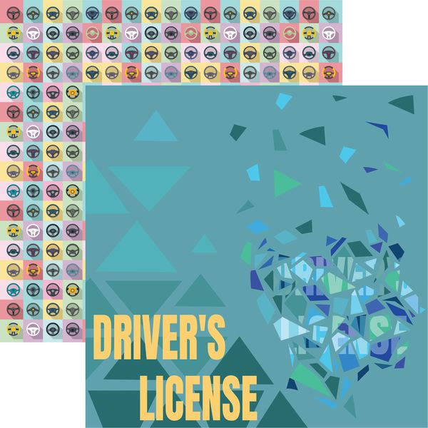 In the Driver's Seat: Driver's License DS Paper