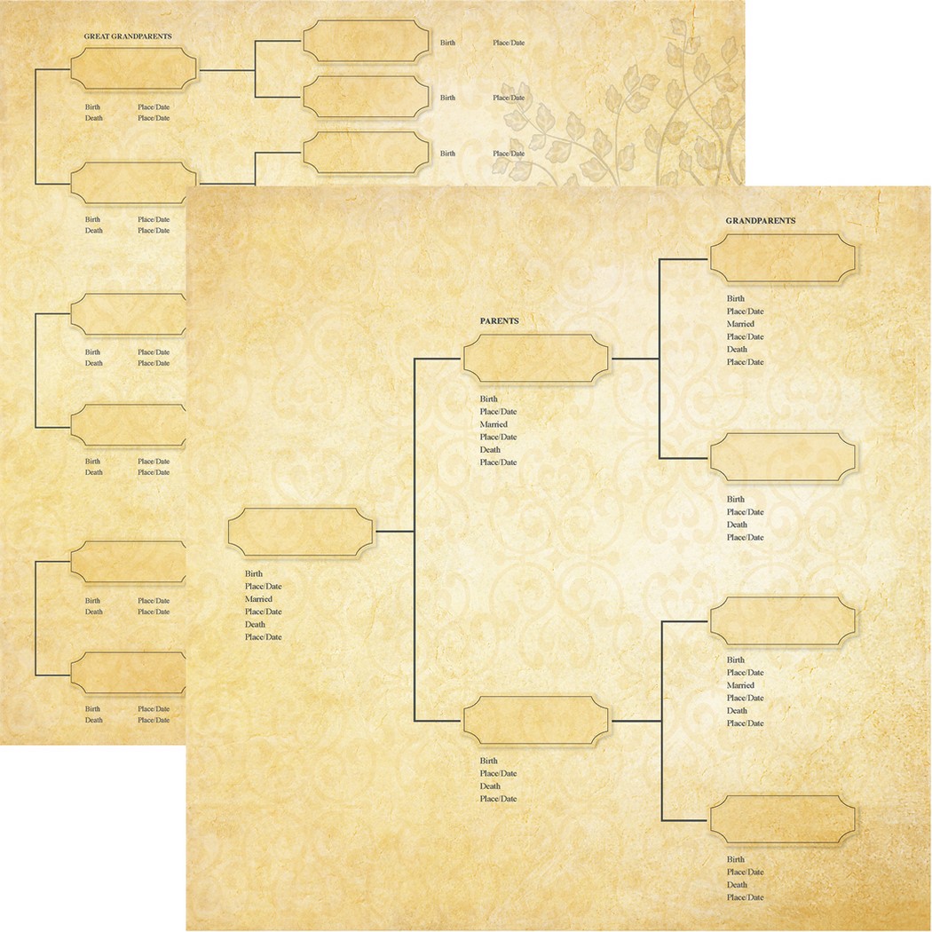 Family Tree: Generations Scrapbook Paper