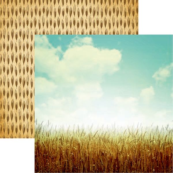 Farm Fresh: Wheat Fields Scrapbook Paper