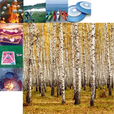 Happy Camper: Forest for the Trees Scrapbook Paper
