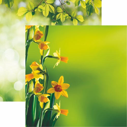 Hello Spring: Daffodils Scrapbook Paper