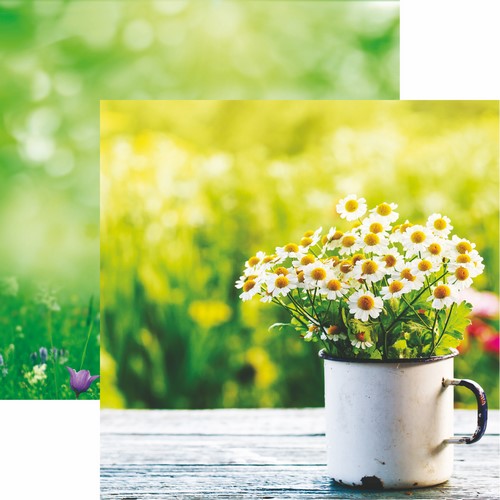 Hello Spring: Cup O'Daisies Scrapbook Paper