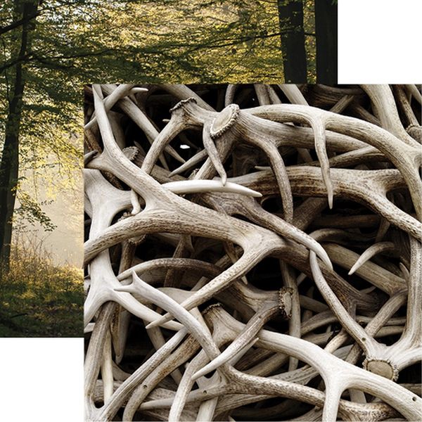 Hunter's Paradise: Antlers Double-Sided Paper