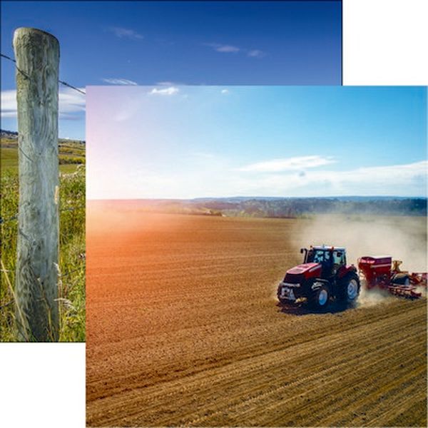 In the Field: Field Work Paper