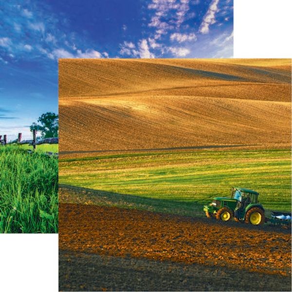 In the Field: Spring Paper