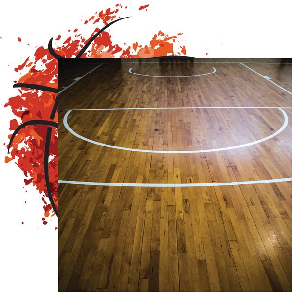 Let's Play Basketball: Hardwood DS Paper