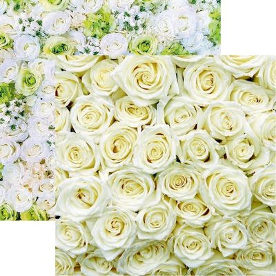 Made with Love: White Roses Scrapbook Paper