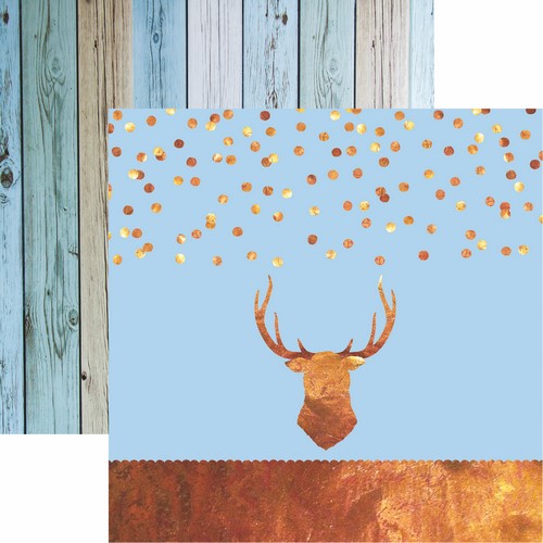 Oh Baby Boy: Brave Scrapbook Paper