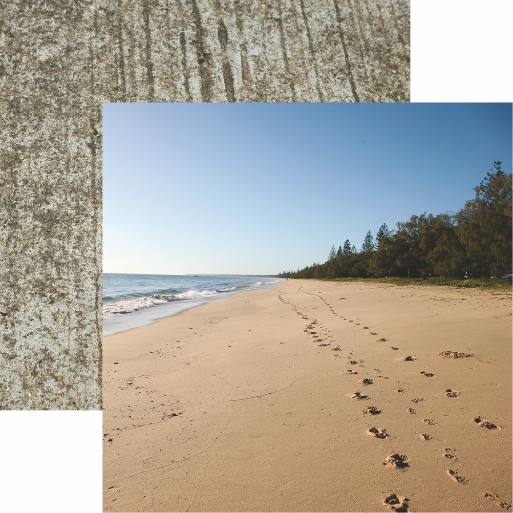 Pawprints On My Heart: Pawprints On My Heart Scrapbook Paper