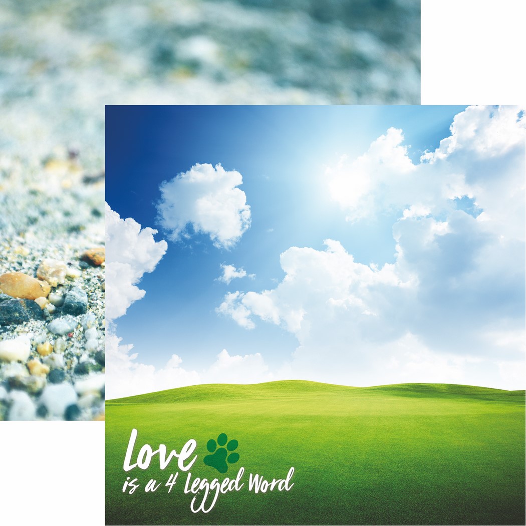 Pawprints On My Heart: Love is a 4 legged Word Scrapbook Paper