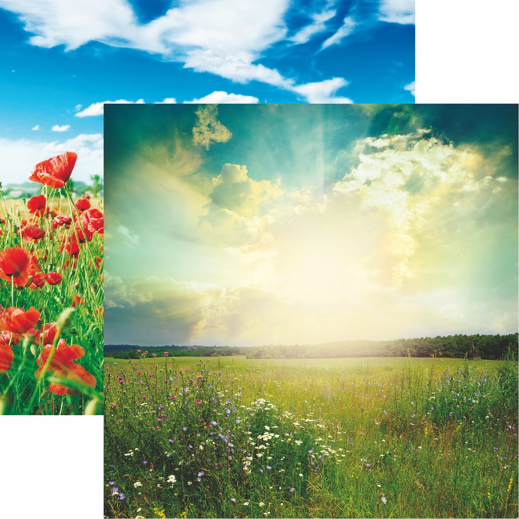 Photo Shoot: Meadow Landscape Scrapbook Paper