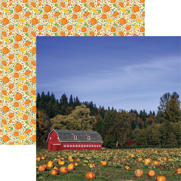 Pumpkin Patch: Pumpkin Patch DS Paper