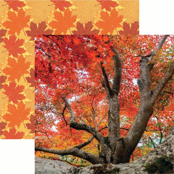 Simply Autumn: Autumn Colors DS Paper