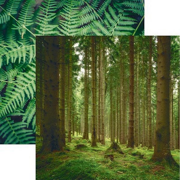 Scandinavian Woodland: Lush Nature Paper