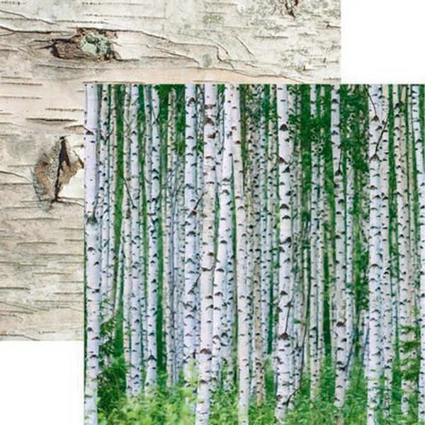 Scandinavian Woodland: Birch Wood Paper