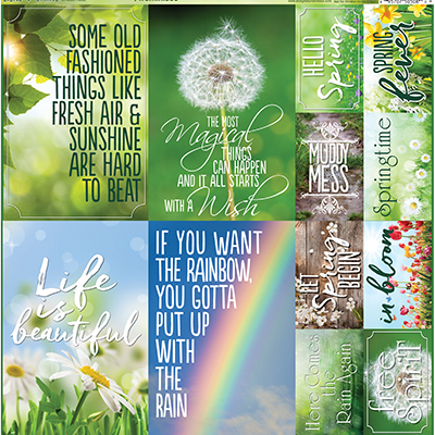 Signs of Spring 12x12 Poster Sticker