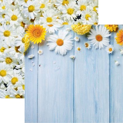 Springtime: Daisies Scrapbook Paper