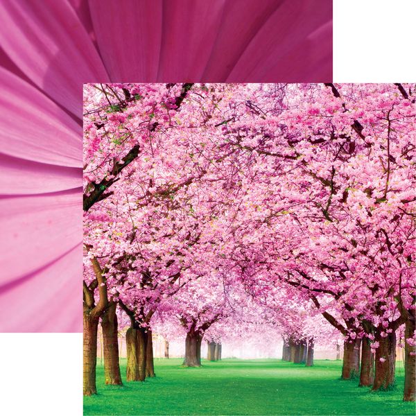 Springtime 2022: Cherry Trees DS Paper