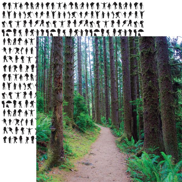 Take a Hike: Forest Trail DS Paper