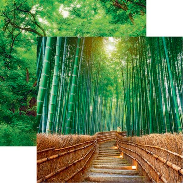 The Journey Beyond: Bamboo Byway Paper
