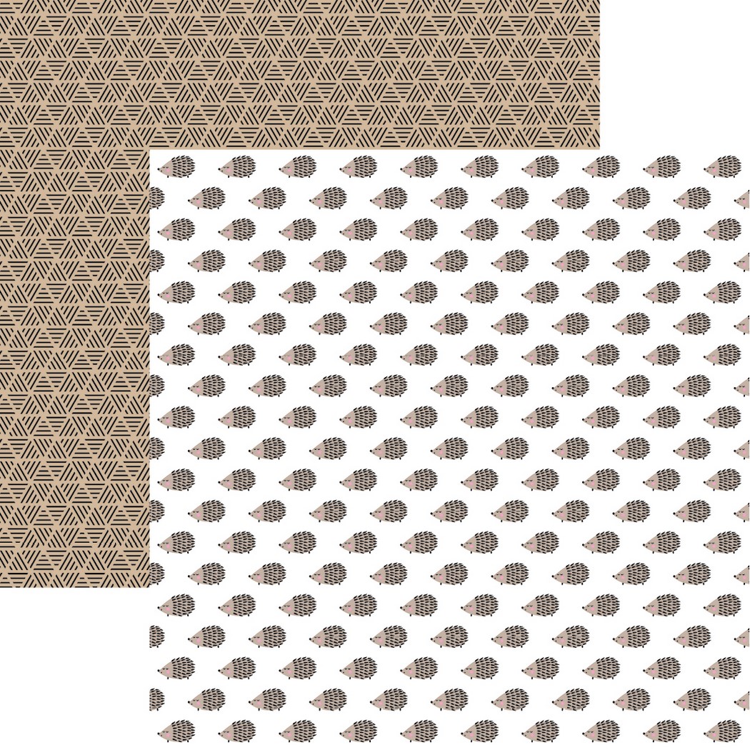 The Menagerie: Hedgehogs Looking Sharp Scrapbook Paper