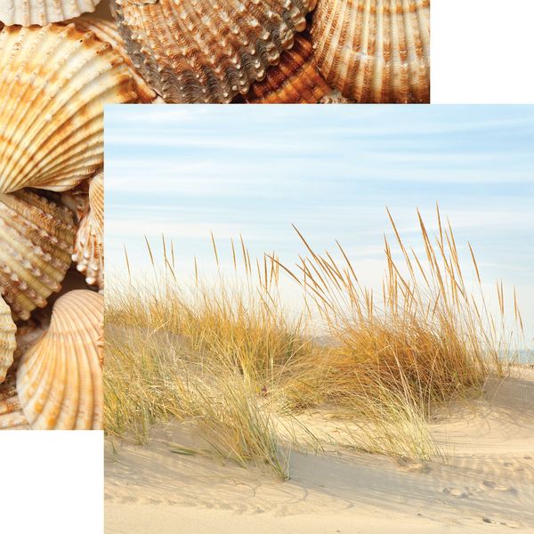 Vitamin Sea: Beachgrass DS Paper