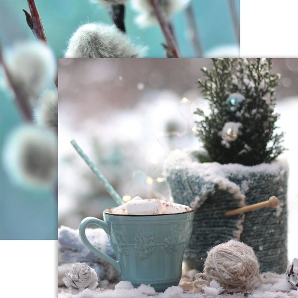 Winter Garden: Hot Chocolate DS Paper