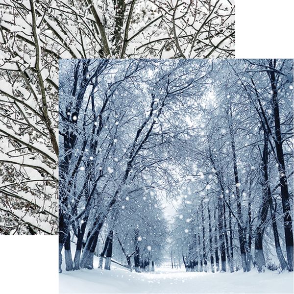 Winter is Coming: Winter Park Double-Sided Paper