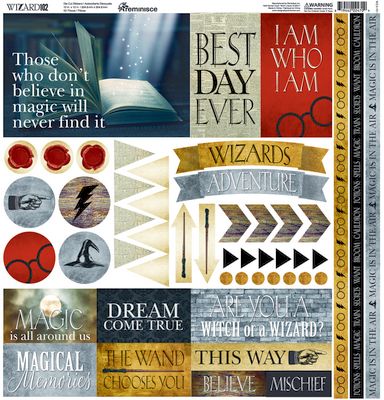 Wizard 101 12x12 Multi Sticker
