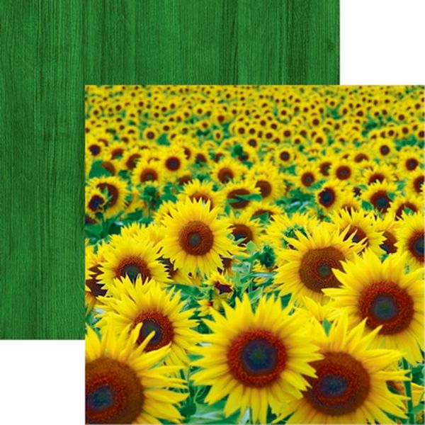 Wildflower: Sunflower Field Paper